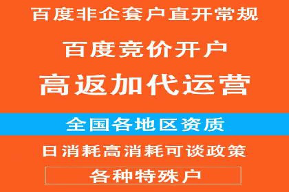 百度推广实战：成功企业的营销策略